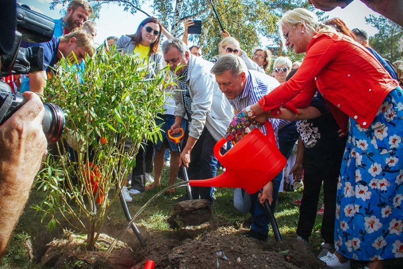 Первое дерево будущих зелёных аллей высадили мэр Новосибирска Анатолий Локоть